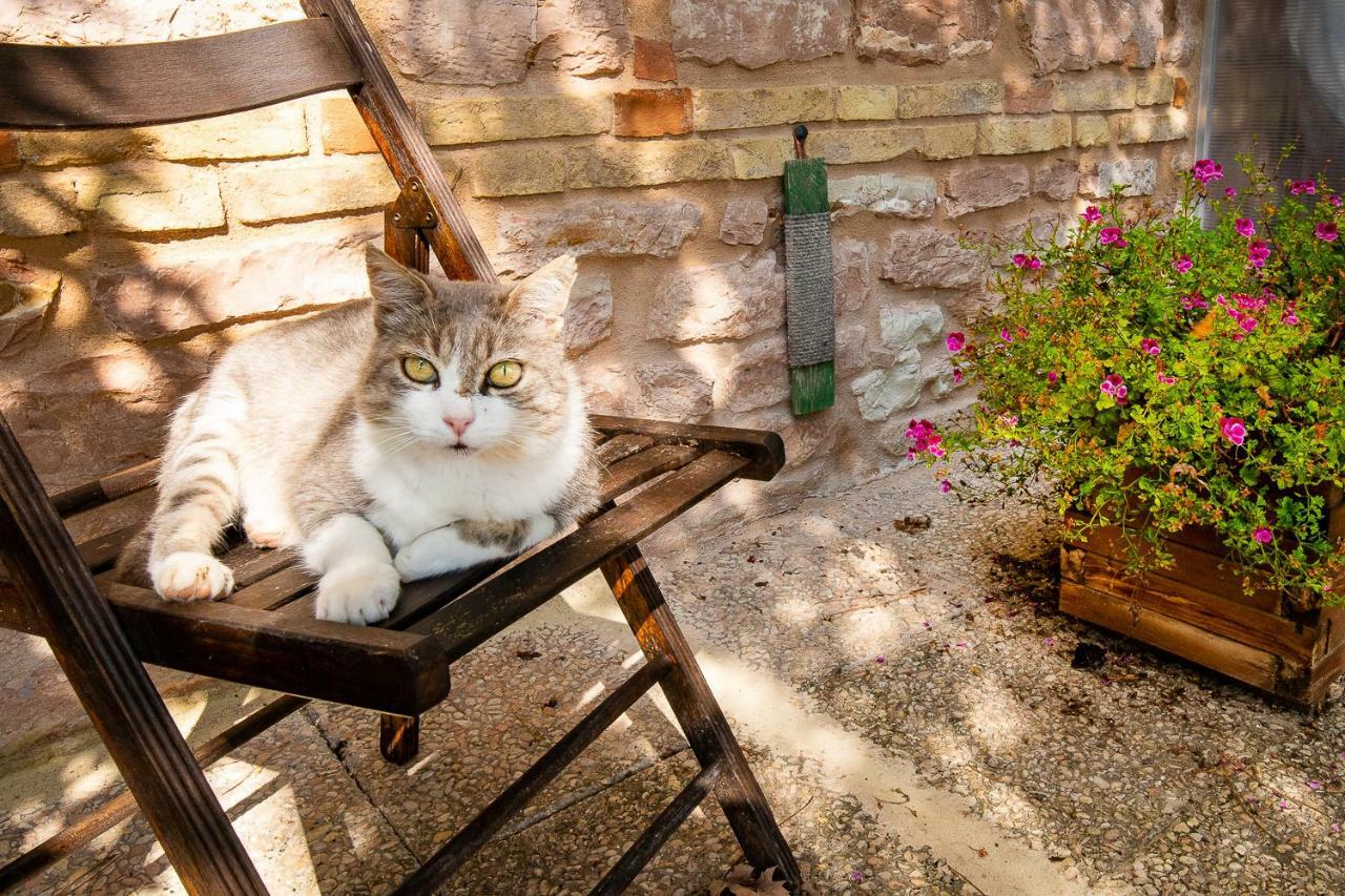 Appartamento Casamenetto Vacanze Sassoferrato Esterno foto